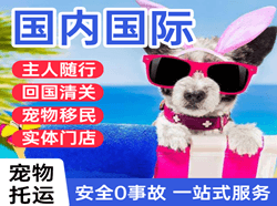 博鳌机场物流国际宠物托运 【国